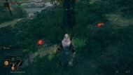 Root Resin glows a burnt orange, best found at night (Image via FromSoftware)